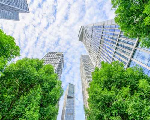 企业金达威“山地勇士”小型玉米收获机问世