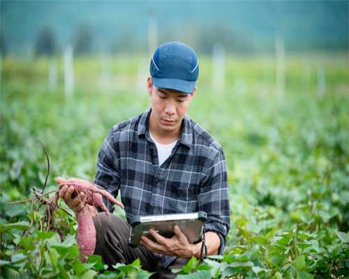 【新闻晚餐】柳絮“烧”了六安一修理厂/今天，又有6人被公开审理