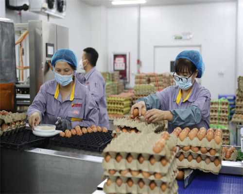 北京除甲醛公司第一名哪家最靠谱？这十大上门治理品牌令人称赞！