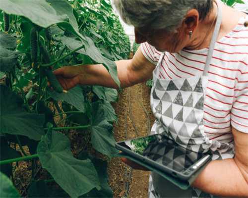 河南省天一大联考2016届高三上学期阶段性测试（二）地理试题