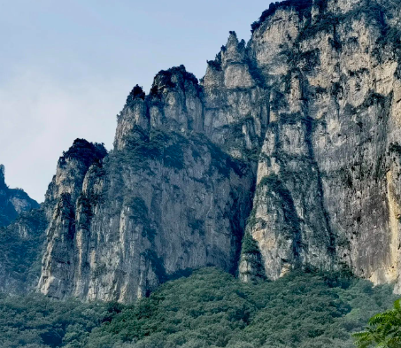 河北乐亭：米粮川“挤走”盐碱滩