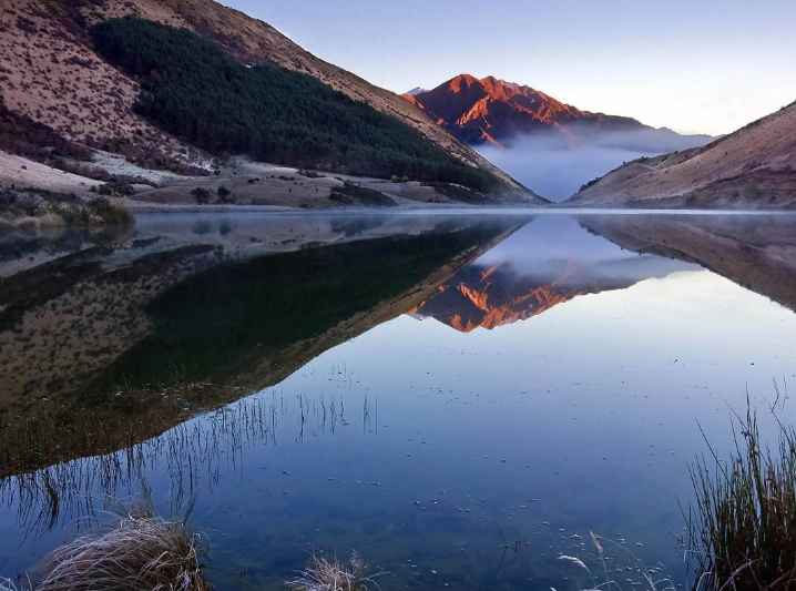 宝鸡2025年农民种地补贴政策全面解读：助农增收的“及时雨”来了