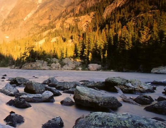 高质量发展看中国丨归仓正当时！天山南北麦浪滚